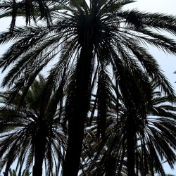 PALERMO. Fotografie di Giulio Azzarello &copy;2022.