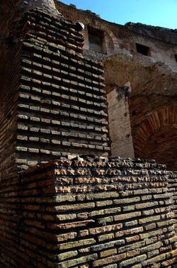 COLOSSEO Roma. Fotografie di Giulio Azzarello ©2020. COLOSSEO Roma. Fotografie di Giulio Azzarello ©2020.