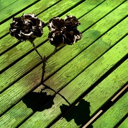 METALLICO. Fotografia di Giulio Azzarello &copy;2023.