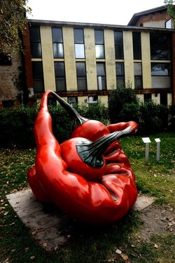 BIENNALE ARTI CONTEMPORANEE DI VENEZIA fotografie di Giulio Azzarello ©2020.