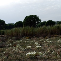 SELINUNTE. Fotografie di Giulio Azzarello ©2022. SELINUNTE. Fotografie di Giulio Azzarello ©2022.