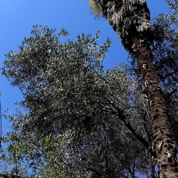 Arabo Normanno. Fotografie di Giulio Azzarello ©2024. Arabo Normanno. Fotografie di Giulio Azzarello ©2024.