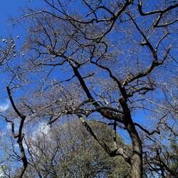 ORTO BOTANICO DI PALERMO. Fotografie di Giulio Azzarello ©2022. ORTO BOTANICO DI PALERMO. Fotografie di Giulio Azzarello ©2022.