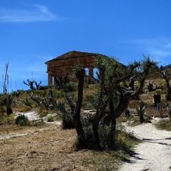 SEGESTA. Fotografie di Giulio Azzarello ©2024. SEGESTA. Fotografie di Giulio Azzarello ©2024.