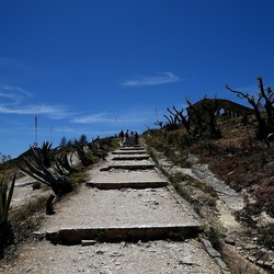 SEGESTA. Fotografie di Giulio Azzarello ©2024. SEGESTA. Fotografie di Giulio Azzarello ©2024.