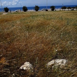 TERRASINI. Fotografie di Giulio Azzarello &copy;2022.