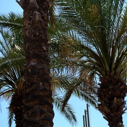 SAN VITO LO CAPO. Fotografie di Giulio Azzarello &copy;2023.