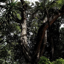 ORTO BOTANICO. Fotografie di Giulio Azzarello &copy;2024.