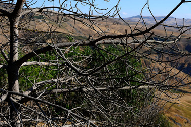 POLIZZI GENEROSA in Sicilia. Fotografie di Giulio Azzarello ©2014. POLIZZI GENEROSA in Sicilia. Fotografie di Giulio Azzarello ©2014.