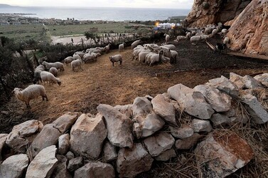 IL PRESEPE VIVENTE DI CUSTONACI in Sicilia. Fotografie di Giulio Azzarello ©2014. IL PRESEPE VIVENTE DI CUSTONACI in Sicilia. Fotografie di Giulio Azzarello ©2014.