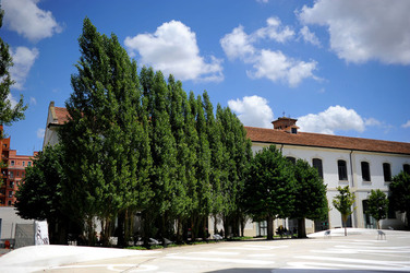 MUSEO MAXXI contemporaneo a Roma panoramiche e particolari. Fotografie di Giulio Azzarello ©2014. MUSEO MAXXI contemporaneo a Roma panoramiche e particolari. Fotografie di Giulio Azzarello ©2014.