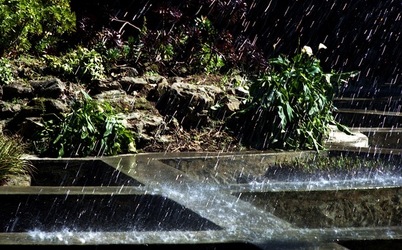 ORTO BOTANICO di Palermo. Fotografie di Giulio Azzarello ©2021.