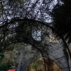 Arabo Normanno. Fotografie di Giulio Azzarello ©2024. Arabo Normanno. Fotografie di Giulio Azzarello ©2024.