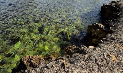 MARE SICILIANO fotografie di Giulio Azzarello &copy;2020.