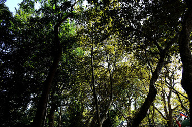 GIARDINI della BIENNALE a Venezia. Foto di Giulio Azzarello &copy;2015 2016.