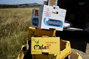 ARTE CONTEMPORANEA A PIRGI sito e riserva archeologica. Fotografie di Giulio Azzarello &copy;2014.