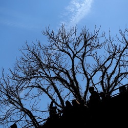 Arabo Normanno. Fotografie di Giulio Azzarello ©2024. Arabo Normanno. Fotografie di Giulio Azzarello ©2024.