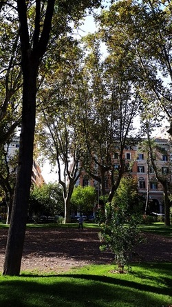 ROMA fotografie di Giulio Azzarello &copy;2022.