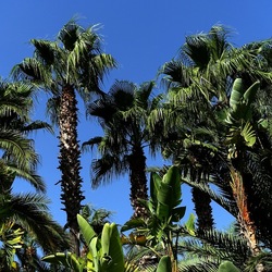 SELINUNTE. Fotografie di Giulio Azzarello ©2022. SELINUNTE. Fotografie di Giulio Azzarello ©2022.