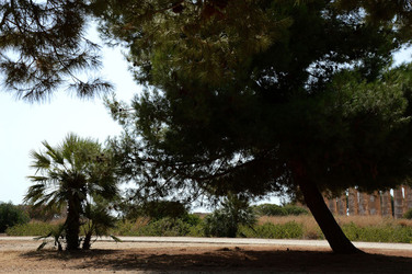 SELINUNTE il sito e parco archeologico. Fotografie di Giulio Azzarello &copy;2014.