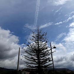 CAMMINANDO. Fotografie di Giulio Azzarello &copy;2024.