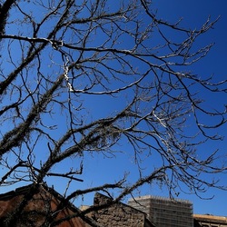 Arabo Normanno. Fotografie di Giulio Azzarello ©2024. Arabo Normanno. Fotografie di Giulio Azzarello ©2024.