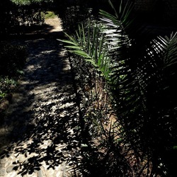 Arabo Normanno. Fotografie di Giulio Azzarello ©2024. Arabo Normanno. Fotografie di Giulio Azzarello ©2024.