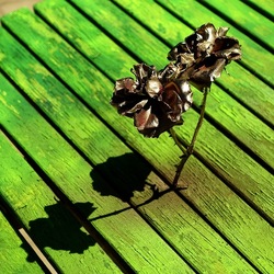 METALLICO. Fotografia di Giulio Azzarello &copy;2023.