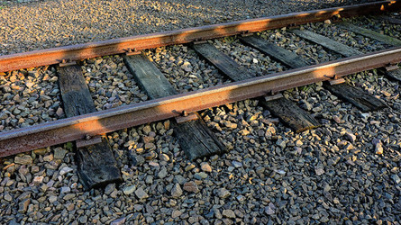 AUSCHHWITZ BIRKENAU la commemorazione. Fotografie di Giulio Azzarello &copy;2016.