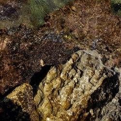 BAIA DEL CORALLO. Fotografie di Giulio Azzarello &copy;2022.