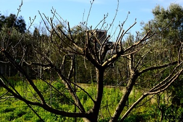 CAMPAGNA fotografie di Giulio Azzarello ©2020.