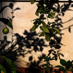 OMBRE di agosto. Fotografie di Giulio Azzarello &copy;2018.