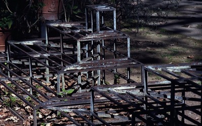 ORTO BOTANICO di Palermo. Fotografie di Giulio Azzarello ©2021.