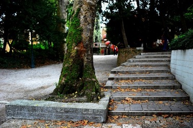 BIENNALE di VENEZIA 2017 i giardini. Fotografie di Giulio Azzarello ©2018. BIENNALE di VENEZIA 2017 i giardini. Fotografie di Giulio Azzarello ©2018.