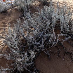 SELINUNTE. Fotografie di Giulio Azzarello &copy;2022.