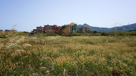 BARCHE. Fotografie di Giulio Azzarello ©2022.