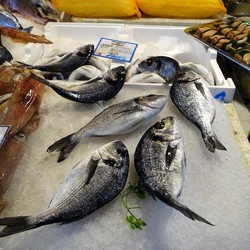 PALERMO. Fotografie di Giulio Azzarello &copy;2023.