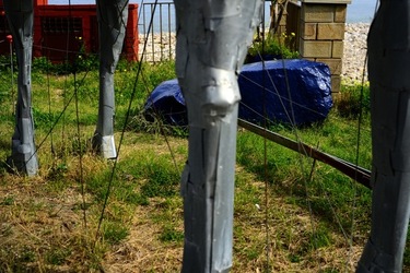 FIUMARA D ARTE Tusa. Fotografie di Giulio Azzarello &copy;2022.