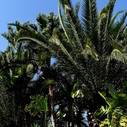 SELINUNTE. Fotografie di Giulio Azzarello ©2022. SELINUNTE. Fotografie di Giulio Azzarello ©2022.