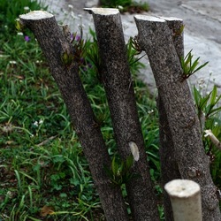 TRONCHI. Fotografie di Giulio Azzarello ©2022.