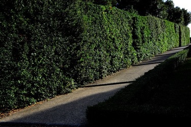 FIRENZE PALAZZO PITTI e GIARDINO DI BOBOLI. Fotografie di Giulio Azzarello &copy;2022.