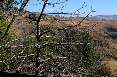 POLIZZI GENEROSA in Sicilia. Fotografie di Giulio Azzarello ©2014. POLIZZI GENEROSA in Sicilia. Fotografie di Giulio Azzarello ©2014.