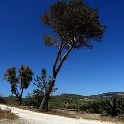 SEGESTA. Fotografie di Giulio Azzarello ©2024. SEGESTA. Fotografie di Giulio Azzarello ©2024.