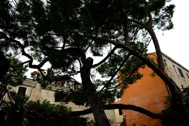 BIENNALE ARTI CONTEMPORANEE DI VENEZIA fotografie di Giulio Azzarello ©2020.