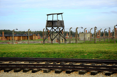 AUSCHIWITZ BIRKENAU il luogo della storia il campo. Fotografie di Giulio Azzarello &copy;2016.