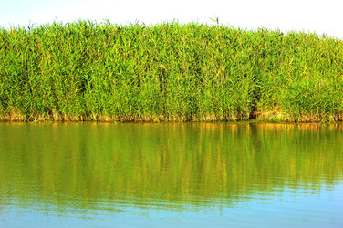 CANNETI in SICILIA. Fotografie di Giulio Azzarello &copy;2016.