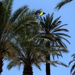SAN VITO LO CAPO. Fotografie di Giulio Azzarello &copy;2023.