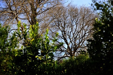 CAMPAGNA fotografie di Giulio Azzarello ©2020.