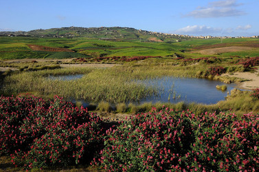 PAESAGGIO SICILIANO nel luogo delle macalube in Sicilia. Fotografie di Giulio Azzarello &copy;2014.