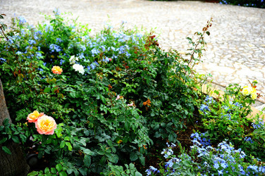 CAMPAGNA SICILIANA. Fotografie di Giulio Azzarello &copy;2016.